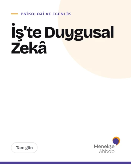 İş’te Duygusal Zeka — kapak İş’te Duygusal Zeka