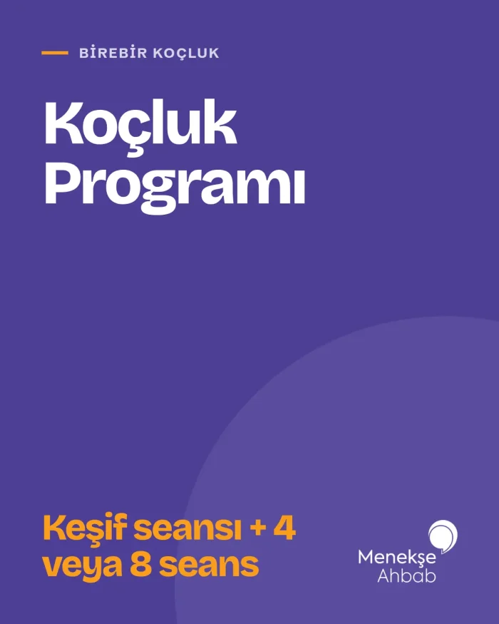 Birebir Koçluk Programı — kapak Birebir Koçluk Programı